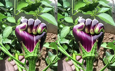 Communication of plant coming together is the only way to achieve A LOT.